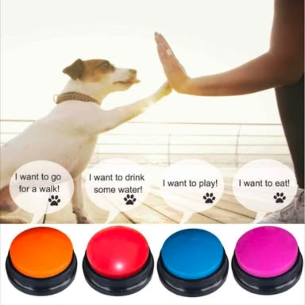 Colorful Push Button Set - Picture 4 of 5